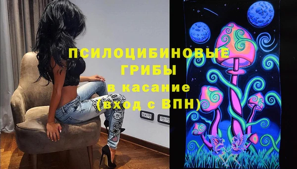 СК Алзамай
