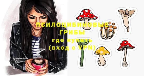 СК Алзамай