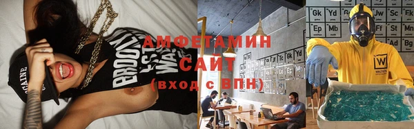 гидра Алексин