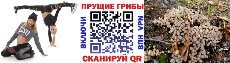 Галлюциногенные грибы Magic Shrooms Балашиха